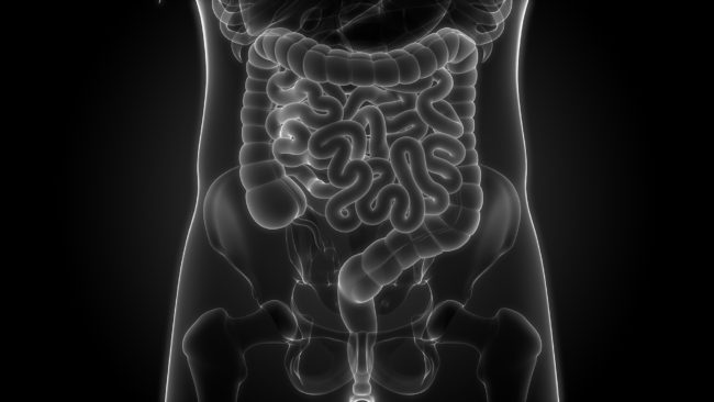 Cirurgia bariátrica e alteração do microbioma intestinal Cirurgia bariátrica e alteração do microbioma intestinal