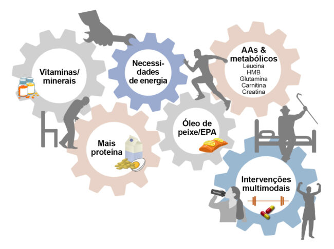 engrenagem_perda-massa-muscular